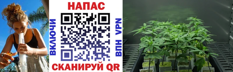 как найти   Лысково  мега рабочий сайт  Конопля Bruce Banner 